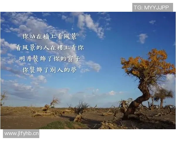 王军的DOTA2人生探索：从新手到职业选手的心路历程与成长故事